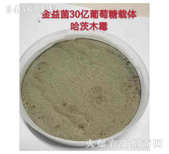 ����ľù��-�����-��ɽ΢����