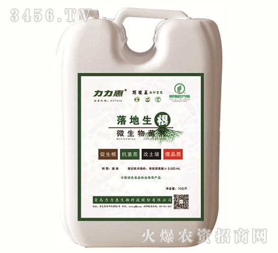 ΢�������-�������-������