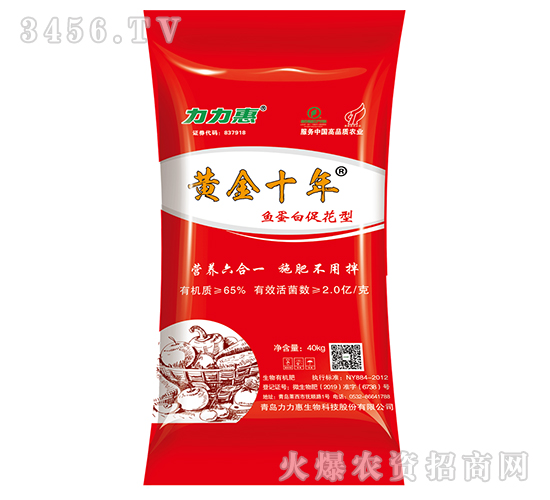 �~���״ٻ���-�S��ʮ��-������