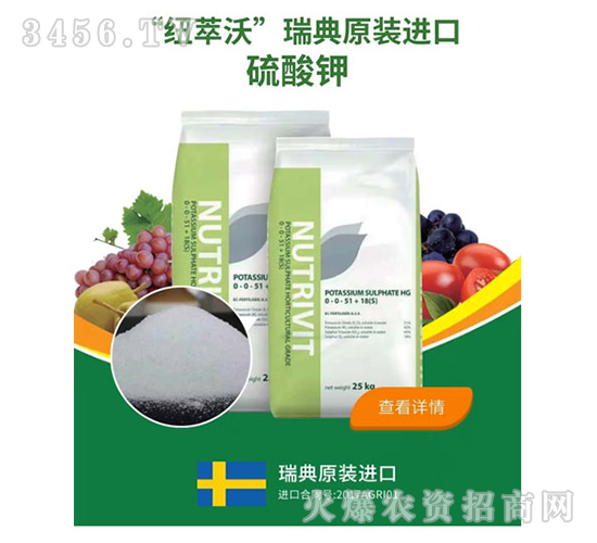 ���ԭ�b�M�������-�~����-ɽ���r�Y