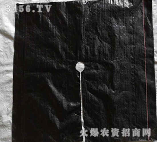 ���ݵز�-����