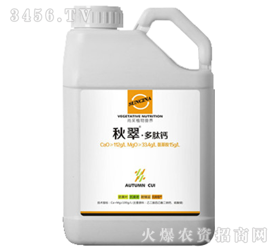 �����}���}�ʣ�-���-�в�