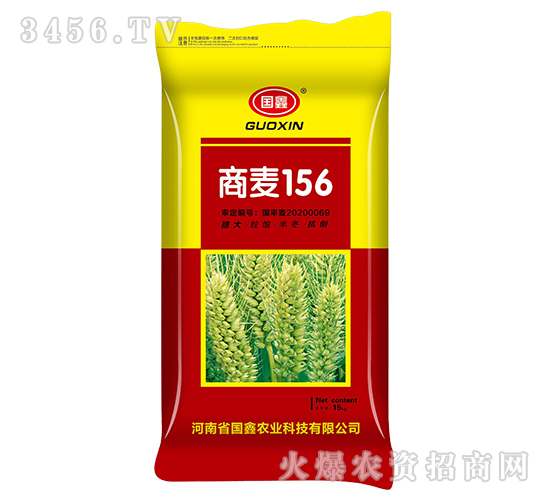 ����156-С���N��-����