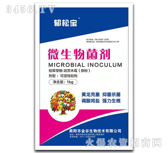 ΢�������-���Ɍ�-�������