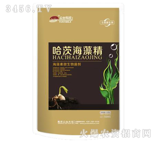 ���ĺ��徫-���_��