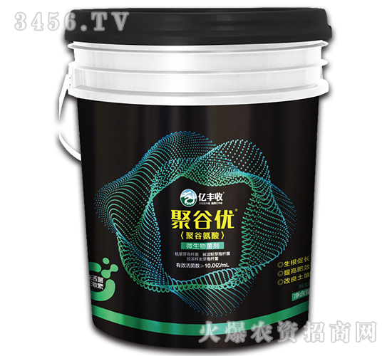 �۹Ȱ���΢�������-�۹ȃ�(y��u)-����̩