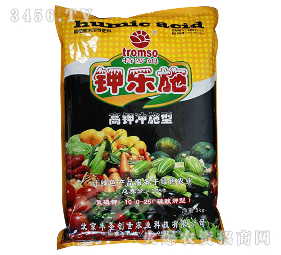 ⛘�ʩ�_ʩ��-�|ʥ����