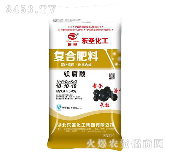 �V�����(f��)�Ϸ���-�|ʥ����