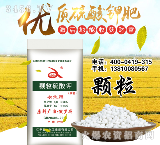 ��(y��u)�|(zh��)�w������⛷�-��ˮ����