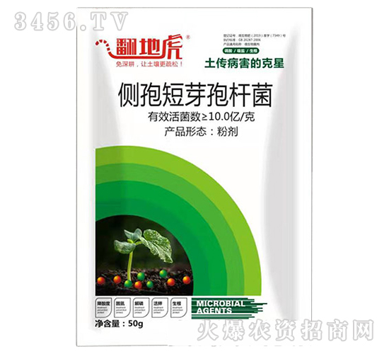 ��(c��)�߶�ѿ�ߗU��-���ػ�-�T�_(d��)