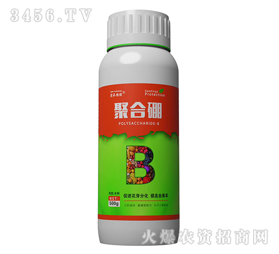 �ۺ���-����ֲ��