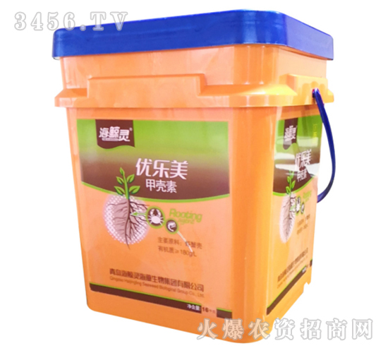 �ך���-��(y��u)����-���L�`