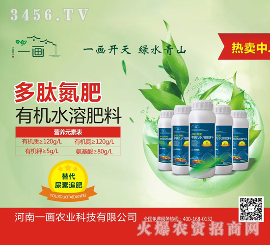 ���ĵ���-һ��