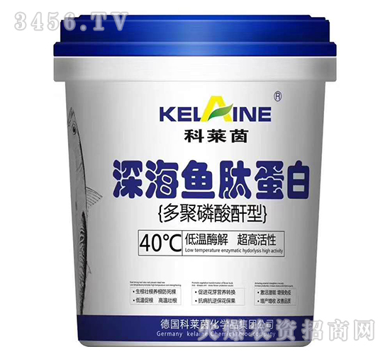 ��~�ĵ���-���R��-�Y�����