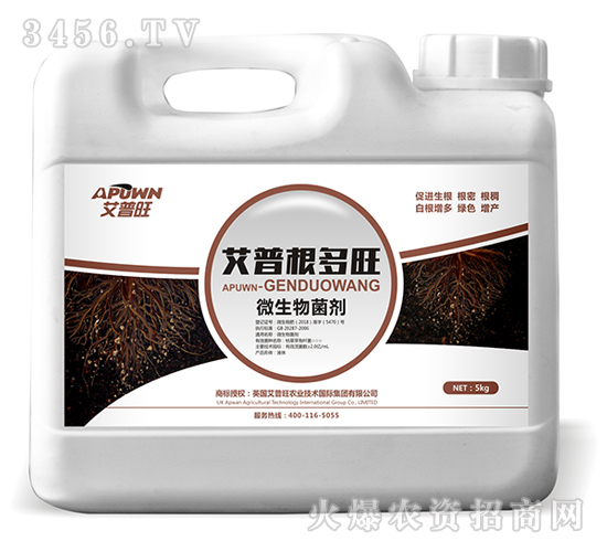 ΢�������-���ո�����-������