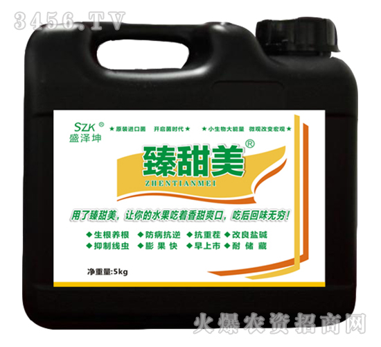 �������_ʩ��-ʢ����