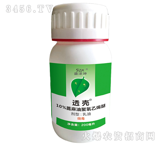 ͸��-ʢ����