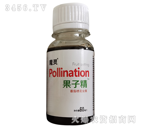 ���ч�������-���Ӿ�-��������