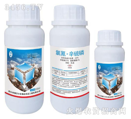 ���衤������-��ؐ��