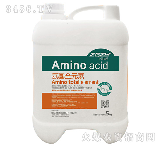 ����ȫԪ��-�Ѻ�