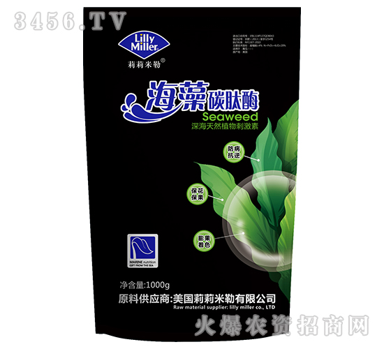 ����̼��ø-��������-�S������