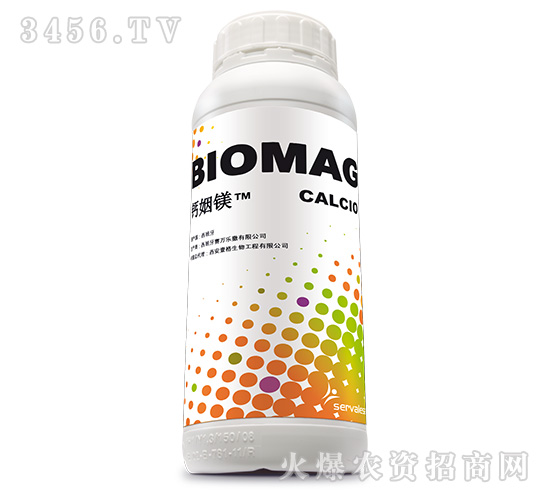 �}���V-Ҽ������