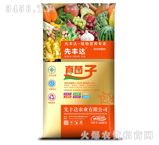 ֲ��I�B(y��ng)����-�����-���S�_