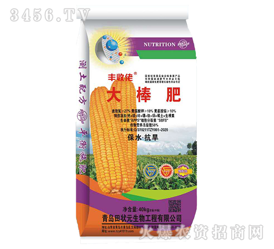 �����-�S����-���Ԫ