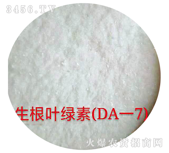 �����~�G�أ�DAһ7��-�������