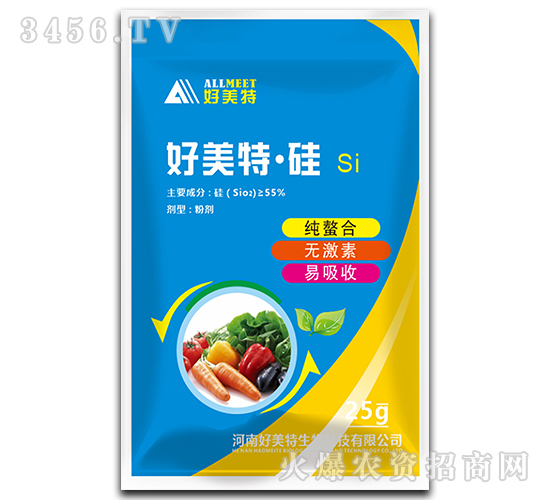 ���Ϲ�-������