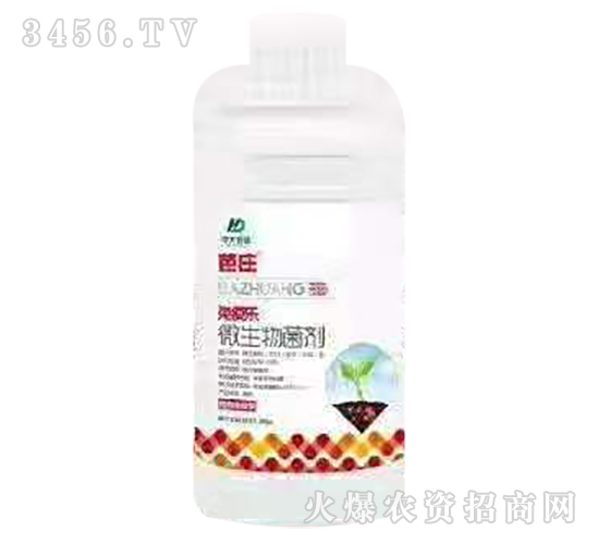 ΢�������-���ߘ�-���f