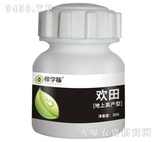 �g����ϸ߮a�ͣ�-�ÌW��