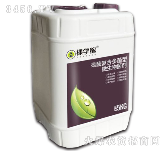 ̼ø��(f��)�϶����΢�������-�ÌW(xu��)��