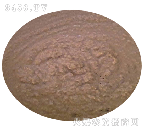 ���ɛ_ʩ��-�T��ӯ֦