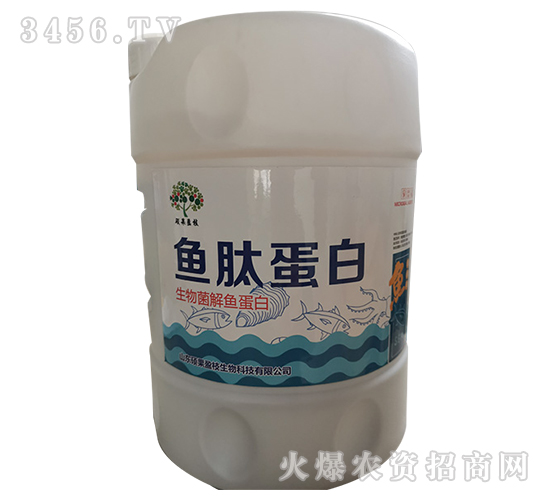 ��������~����-�~�ĵ���-�T��ӯ֦