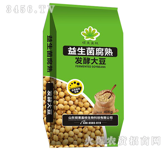 ����������l(f��)�ʹ󶹣��G��-�T��ӯ֦