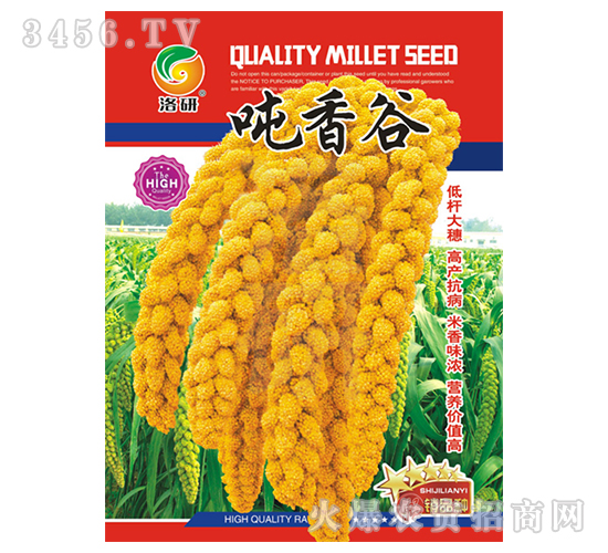 ���ӷN��-�����-����