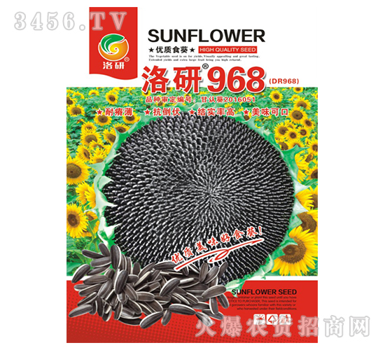 ���տ��N��-����968-����