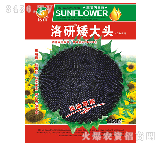 ���տ��N��-���а����^-����