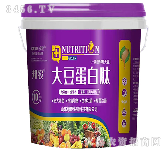 �󶹵�����-�G������