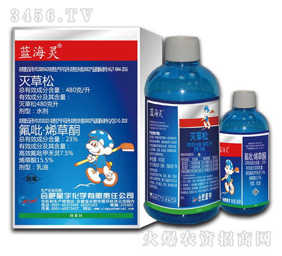 �o�~���݄�-�{(l��n)���`-�Ϸ�����