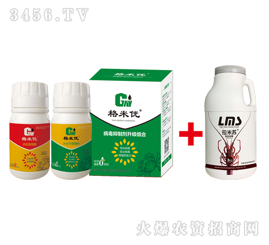 �������ί�����(j��)�M��-���׃�(y��u)-�Ơ���˹