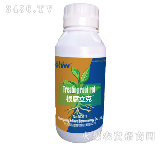 ��������-�����S