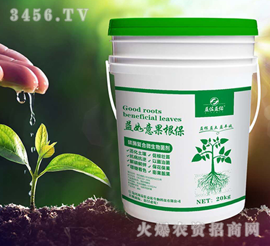 ̼ø��(f��)��΢�������-�����������-��������