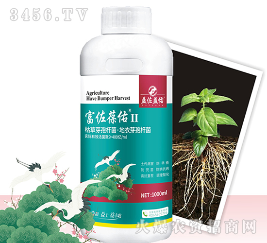 ��������II-��������