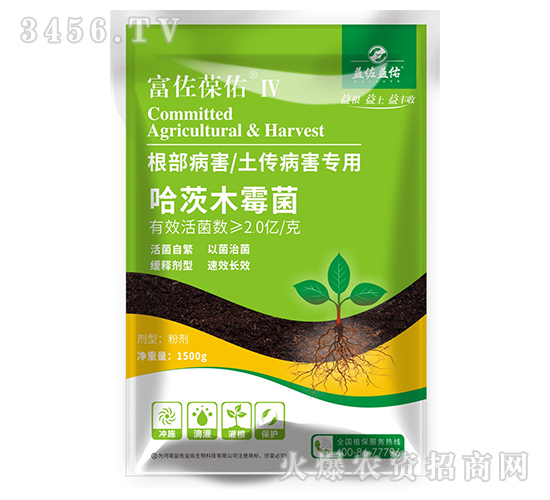 ����ľù��-��������IV-��������