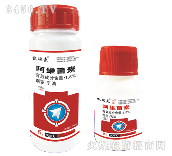 ���S����-�P���