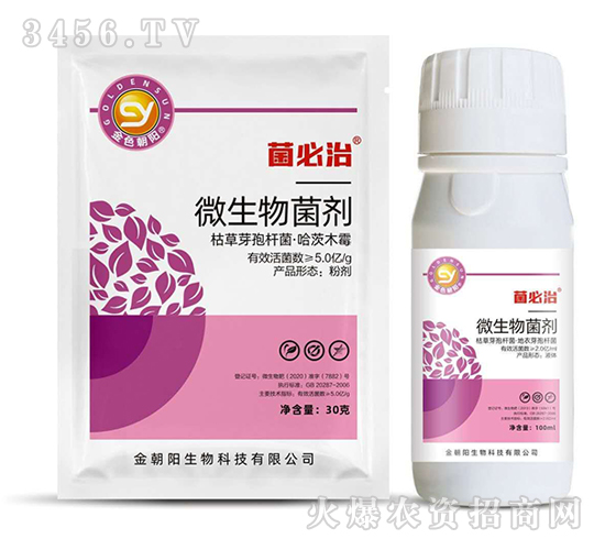 ΢�������-������-��ɫ���