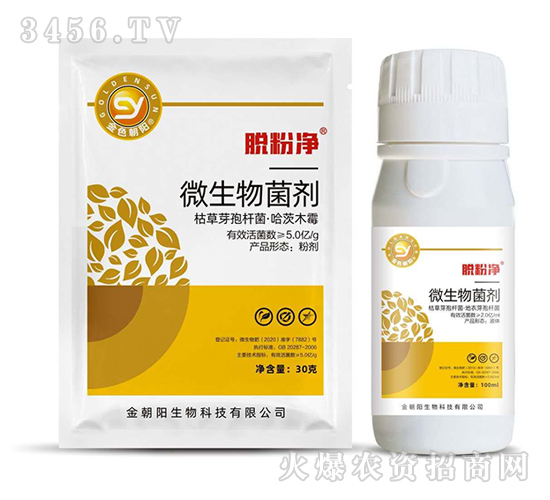 ΢�������-Ó�ۃ�-��ɫ���