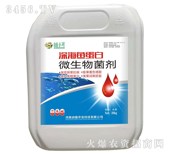 ΢�������-��~����-��(r��n)ֲ